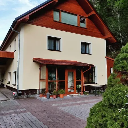 Seeblick Krippenstein Obertraun